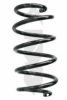 SPIDAN 86606 Coil Spring